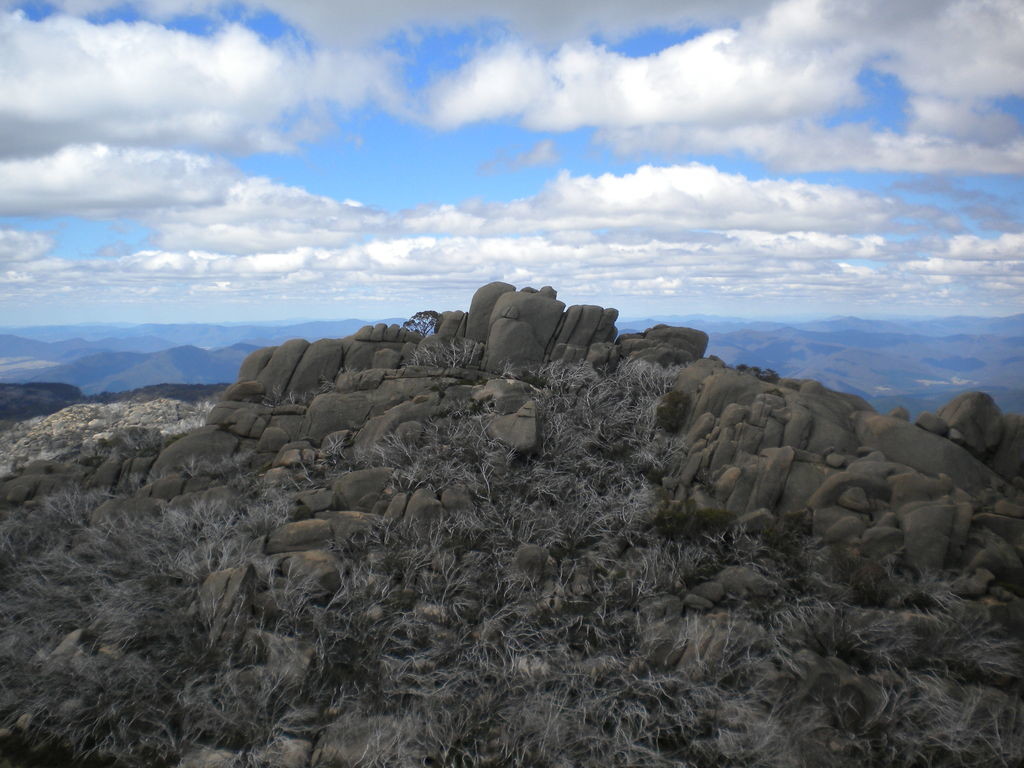 Paysage Mt Buffalo