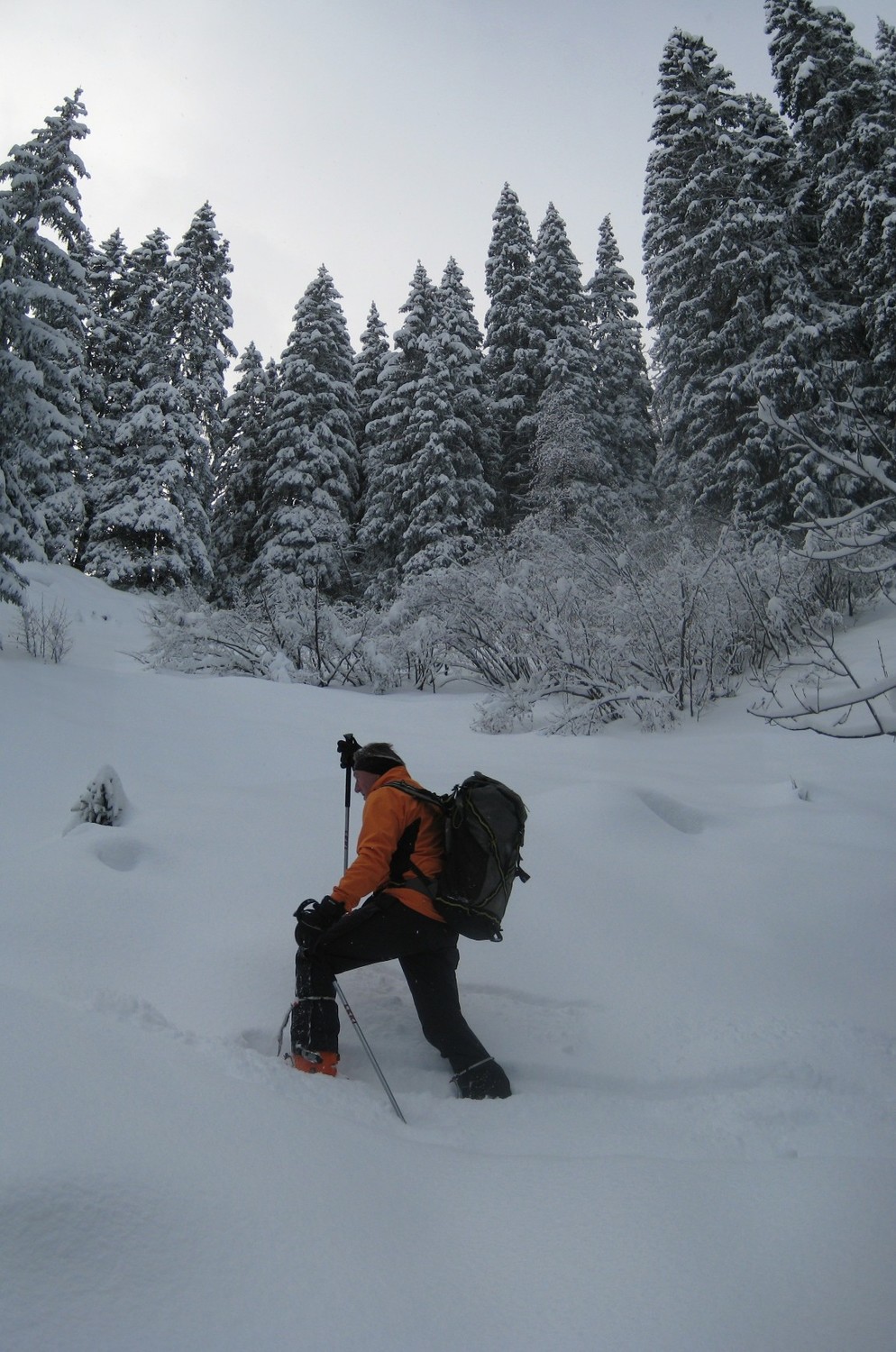 Trace dans la poudreuse