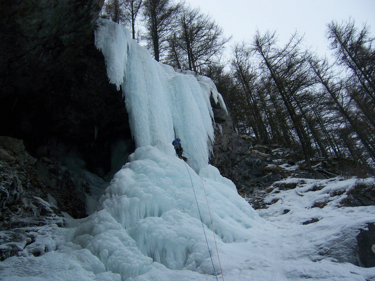 Les Valseuses