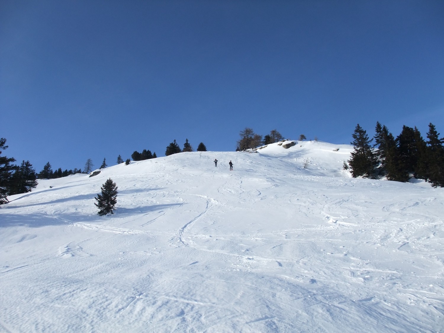 larescia2