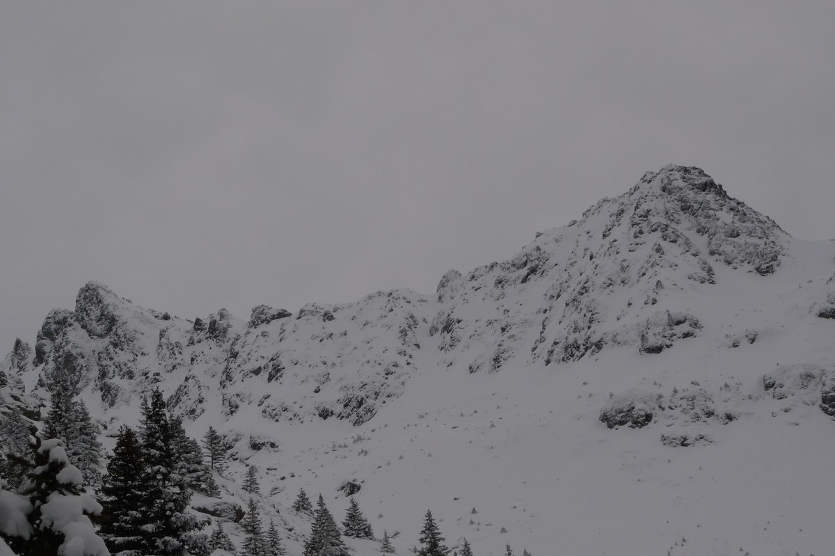 Conditions pas du pin