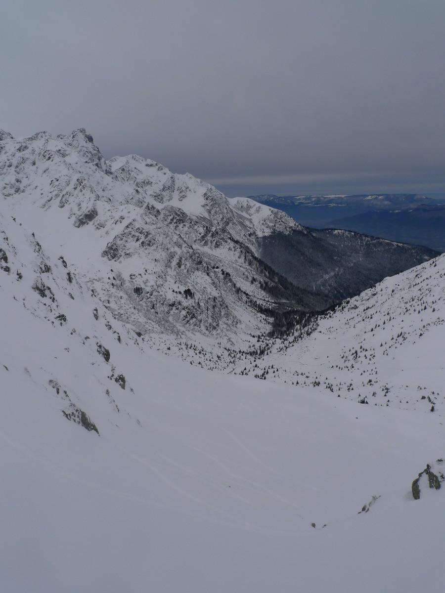 En montant dans le pas du pin