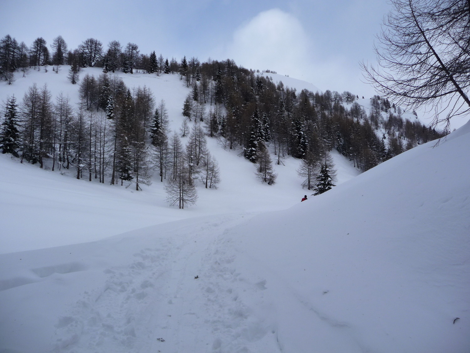 Verso la cima del Foisc