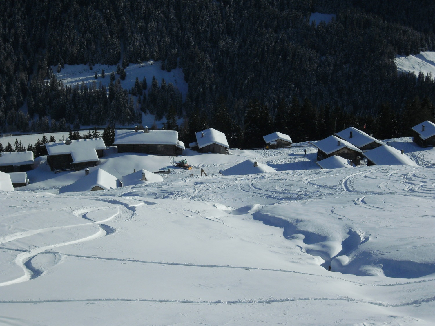 sopra le baite a quota 1900m