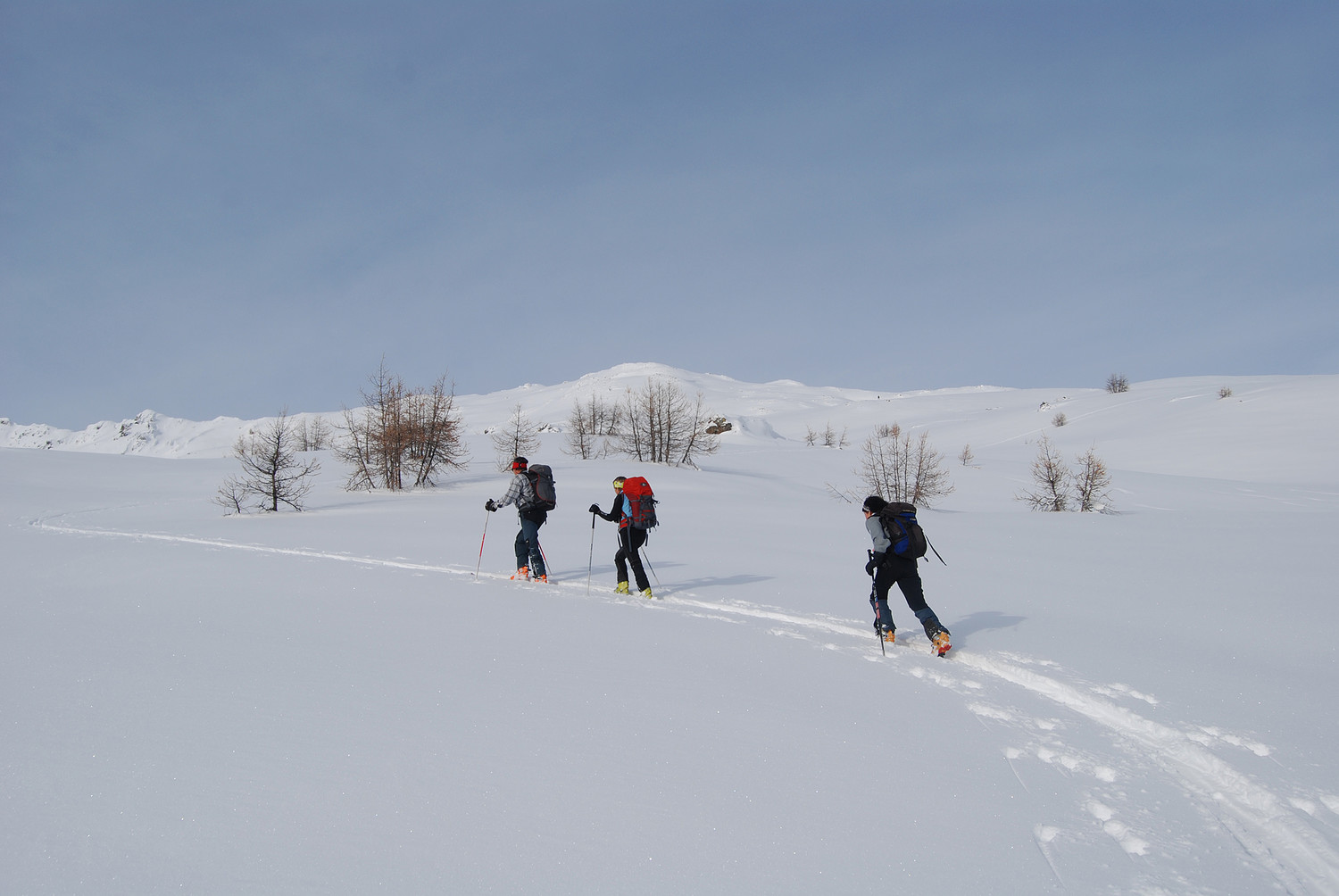 Durante la salita al Monte Sattaron 2716 m.