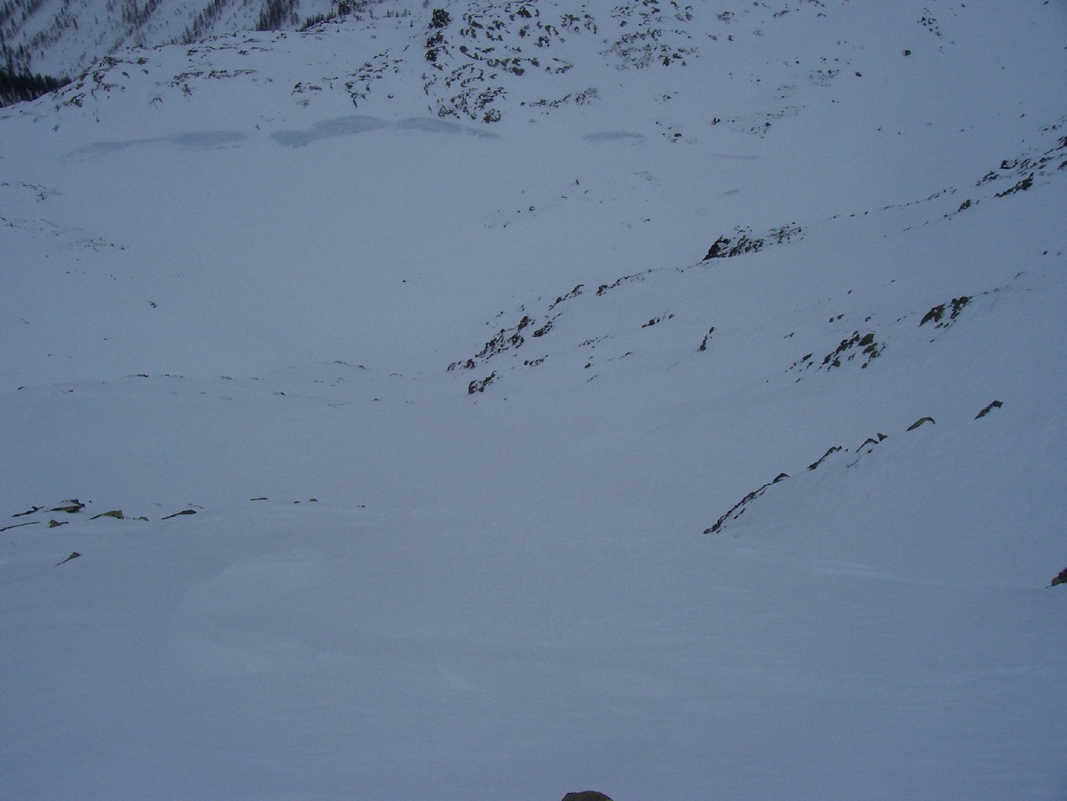 dall'alto