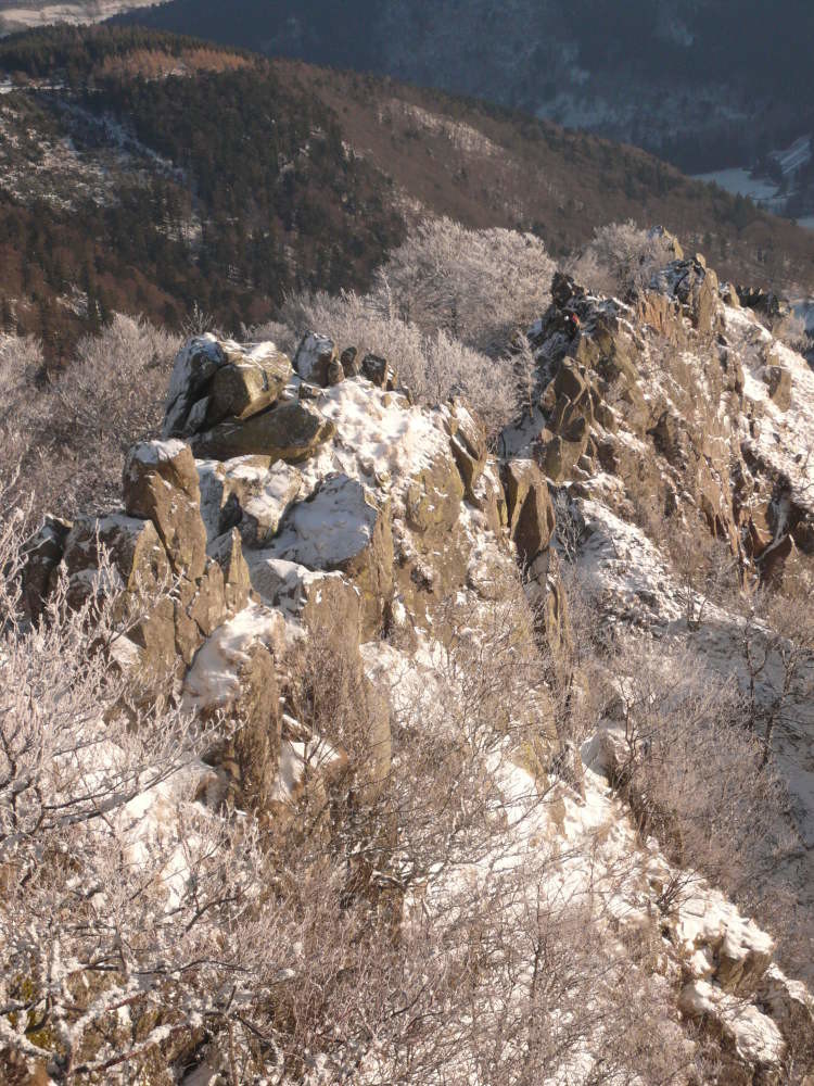 Les arêtes