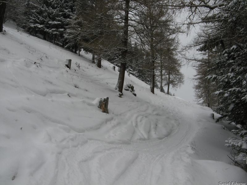 Sur le chemin d'été pour Les Planeys, 20cm de neige, pas de fond