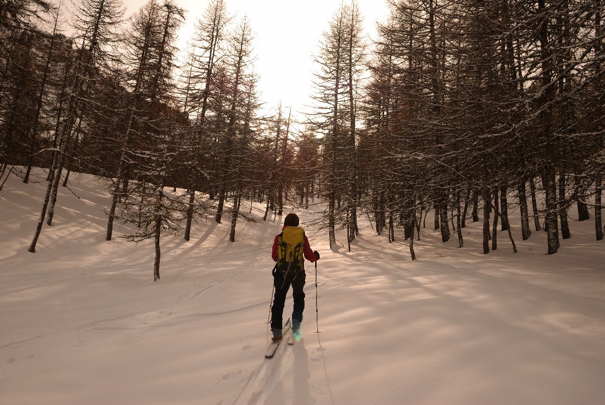 Dans la montée à la Ratelle, vers 1900m.