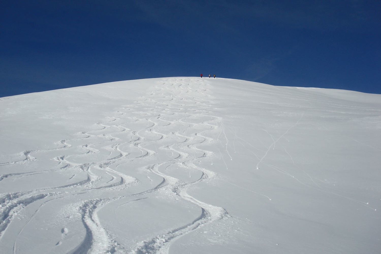 Niwen descente