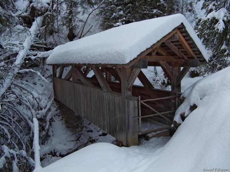Le pont pour rentrer au Pt1482 aprs Les Troncs