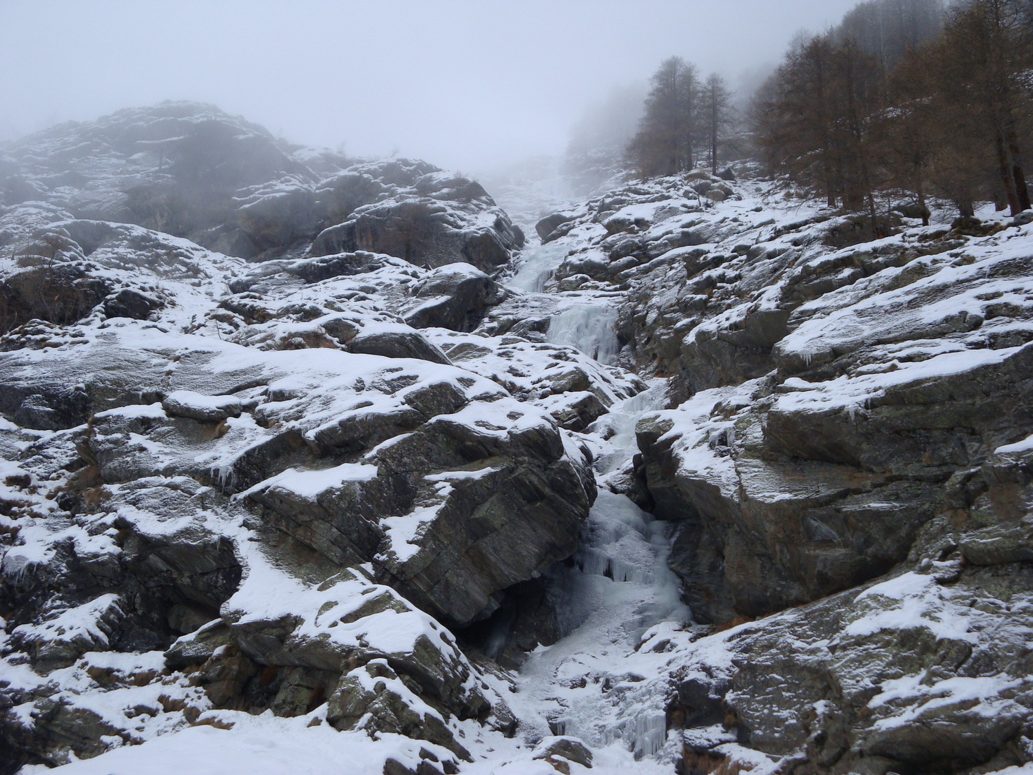 vue générale du bas