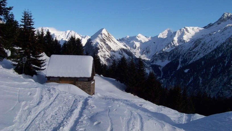 tratto ne bosco