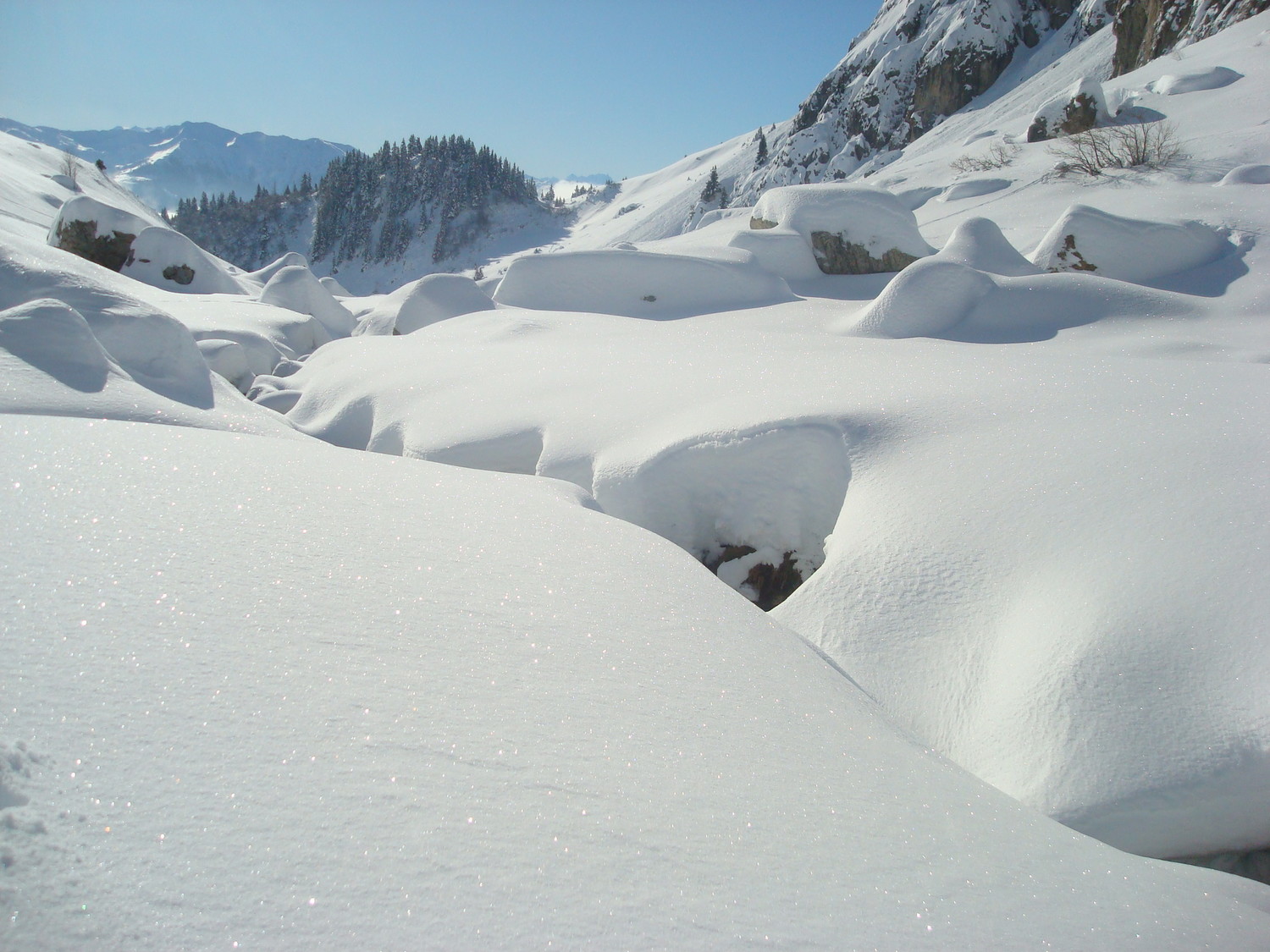 Bas du Vallon de la Portette