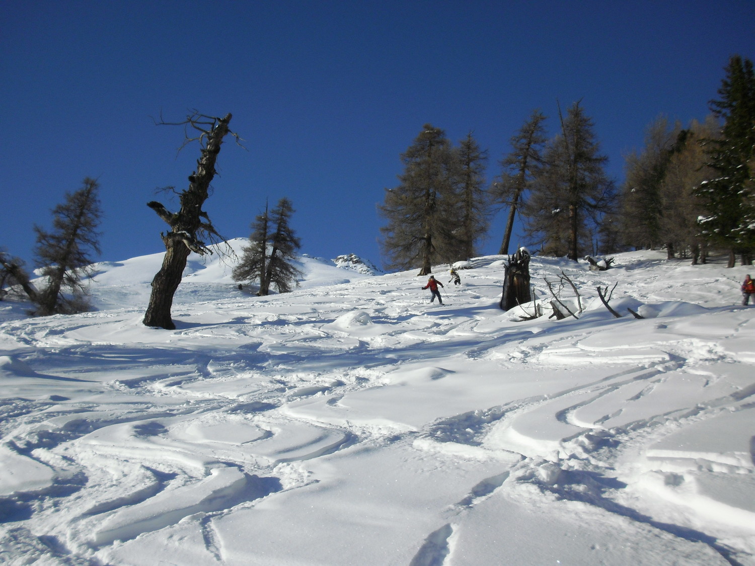 NEL BOSCO ANCORA NEVE BELLA