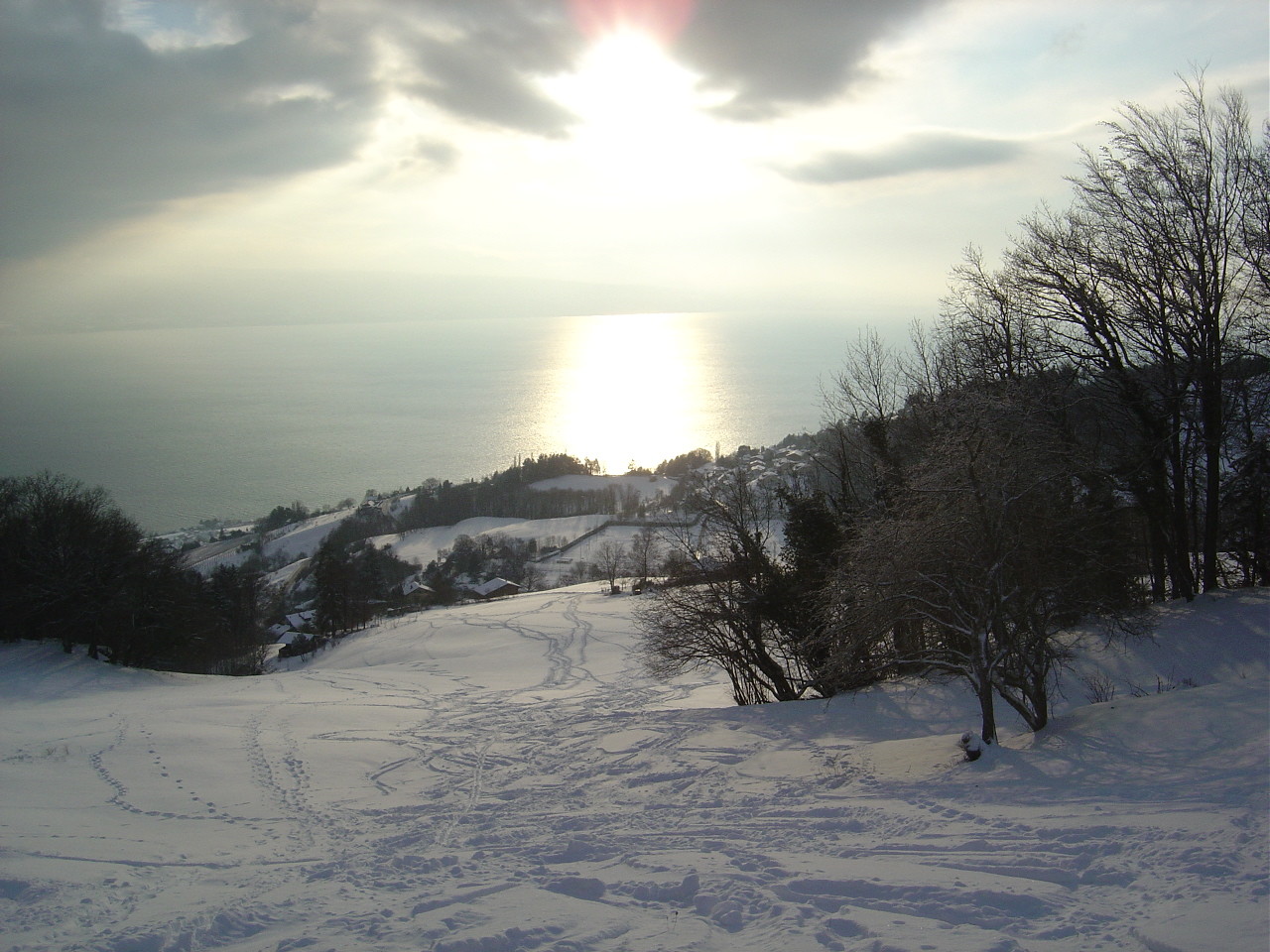 En montant le versant SW de la Tour de Gourze