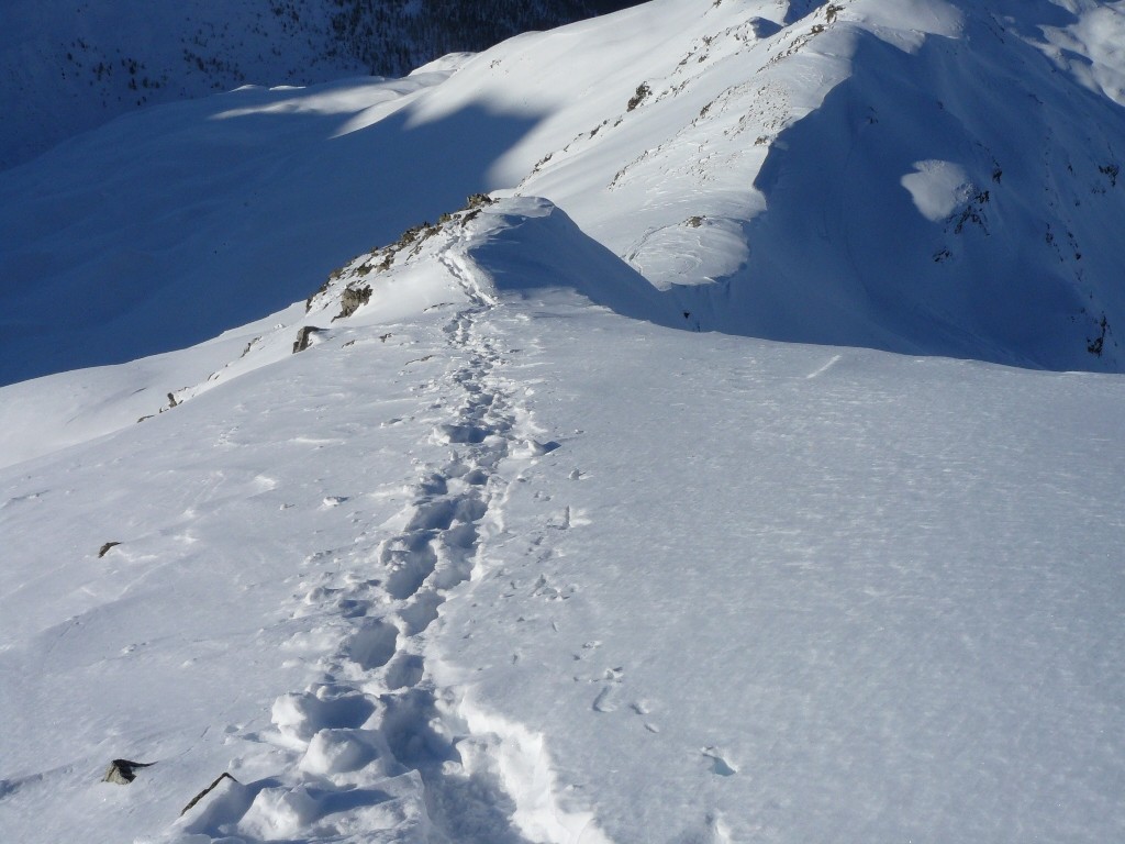 Parte finale della discesa dalla cima