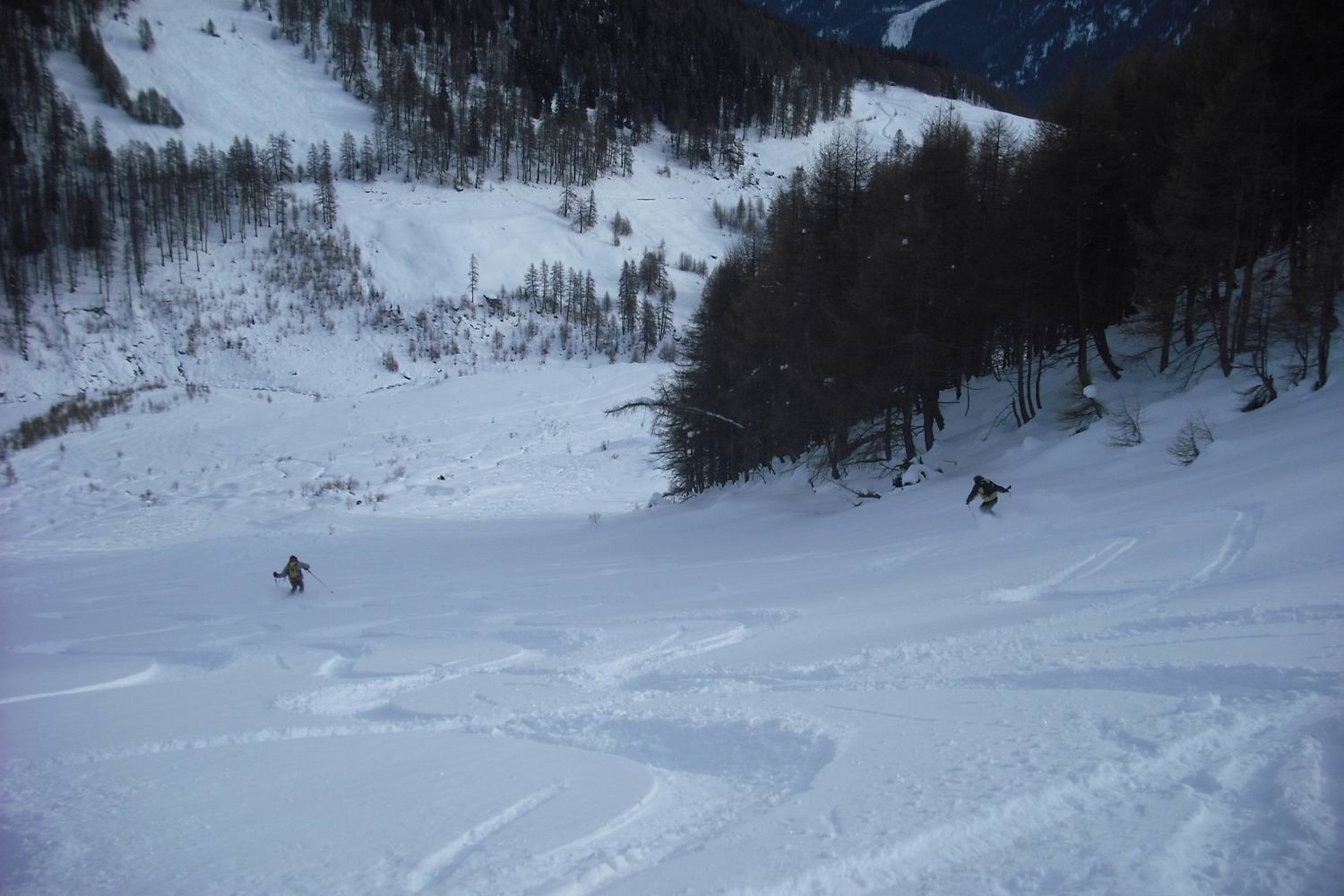pendii finali