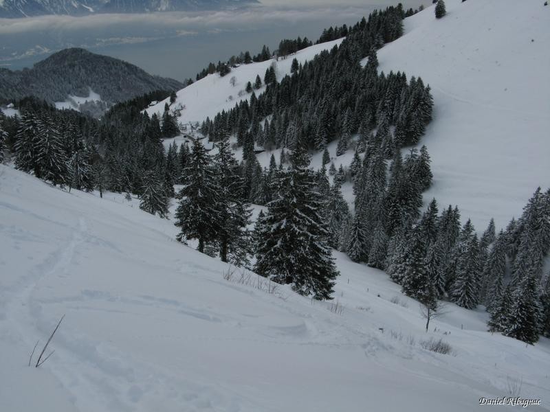 Vallon d'Orgevaux, vue vers Cergnaule