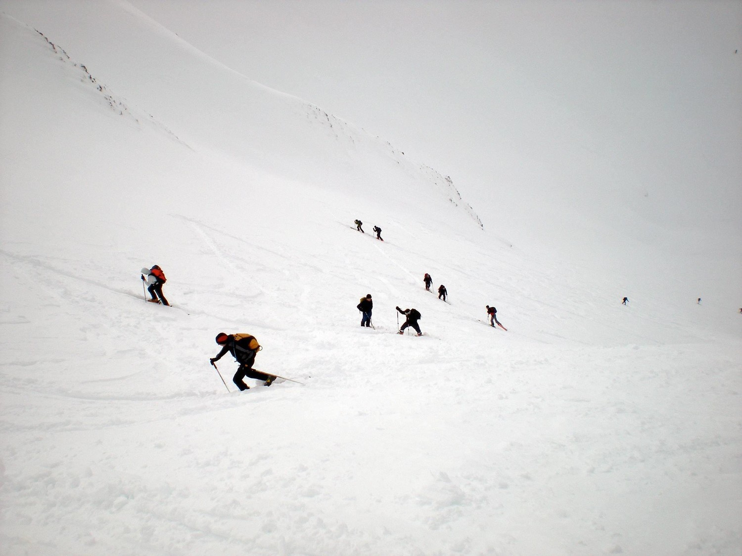 y'a du monde dans le désert blanc