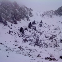 La vue en se dirigeant vers le couloir, apres la cabane.