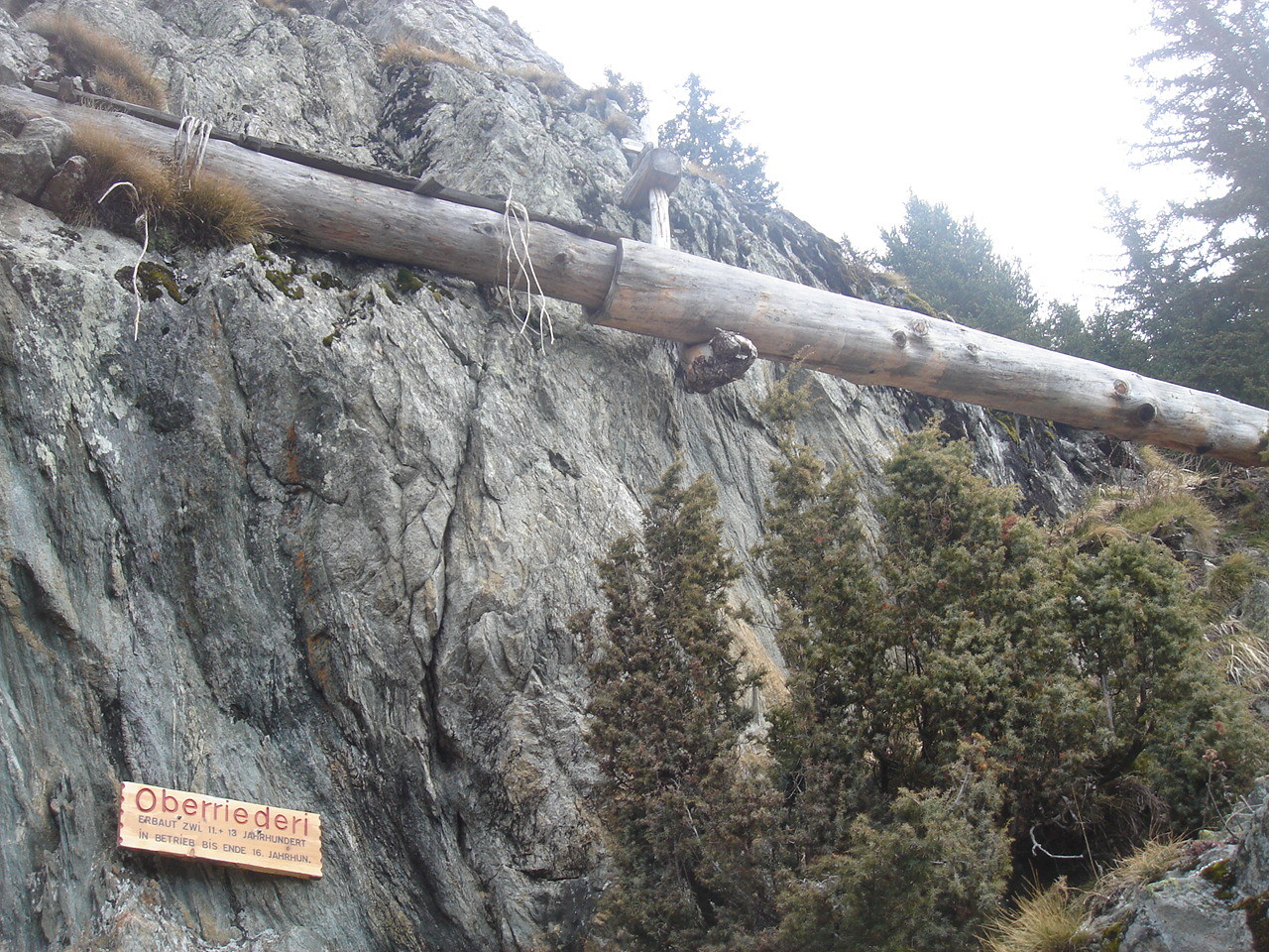 Oberriederi