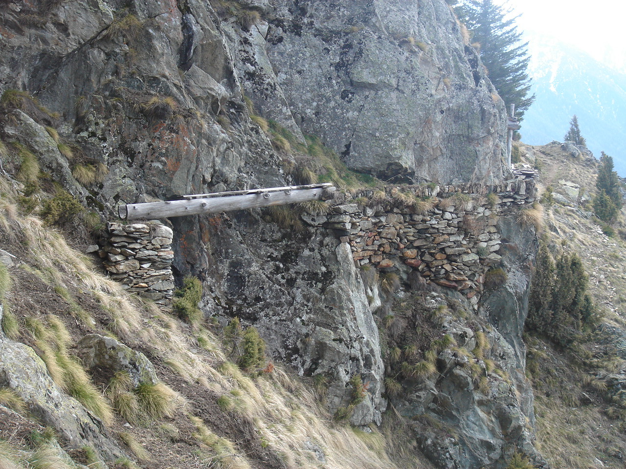 Oberriederi
