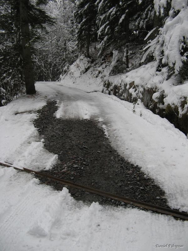 Descente par la route, fort peu enneigée et caillouteuse, aie les semelles des skis !
