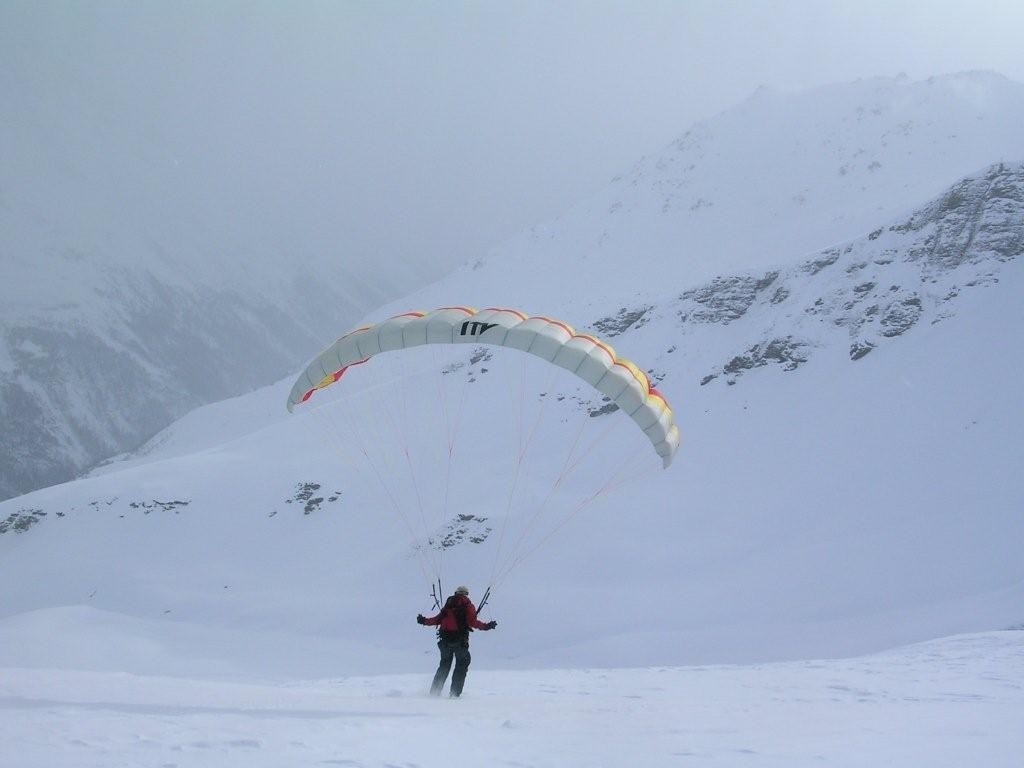 L'oiseau