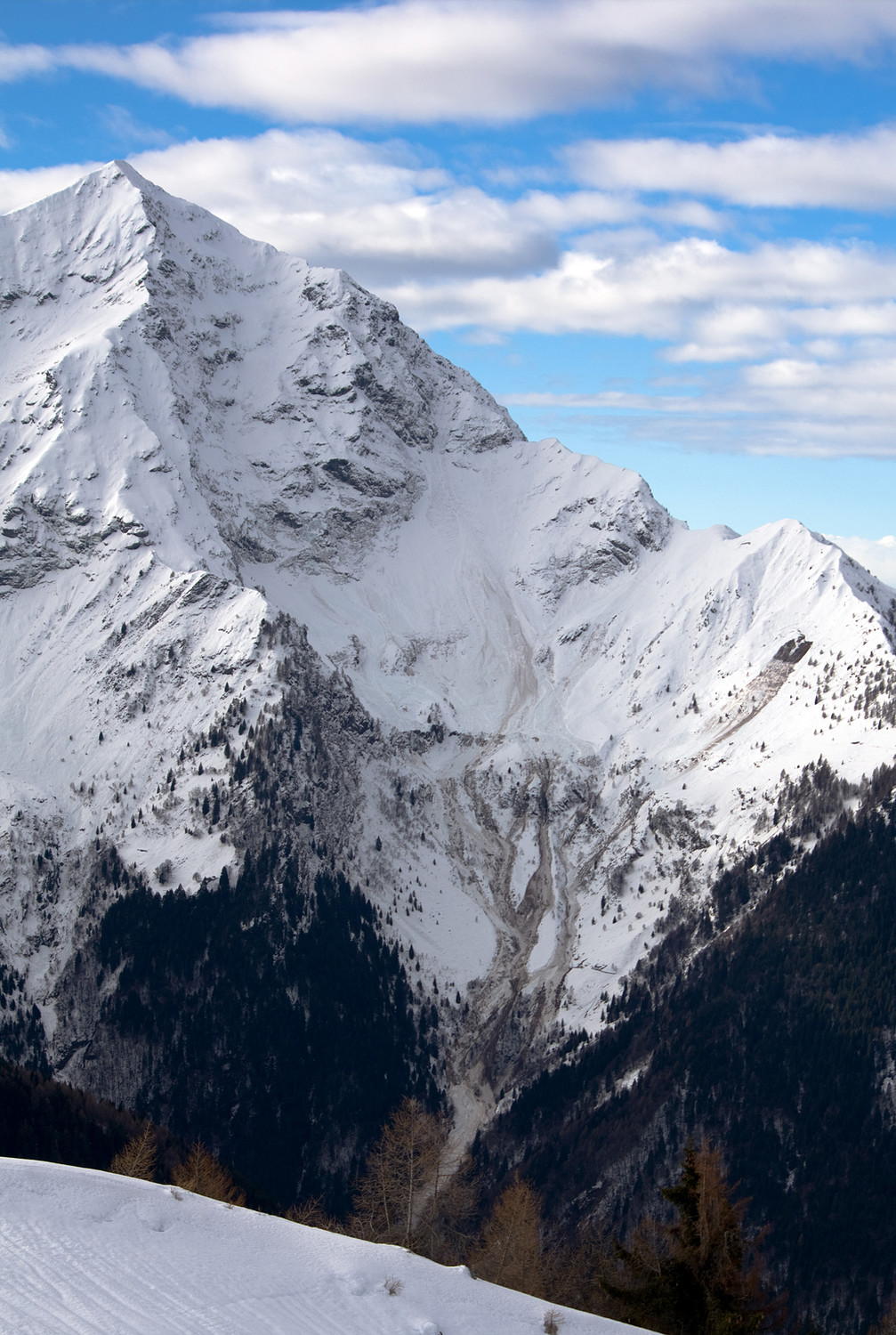 L'enorme valanga sul versante ENE del Monte Legnone (Val Lesina), Alpi Orobie.