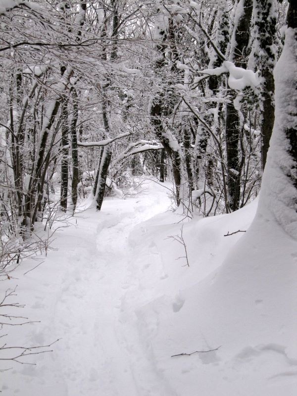 Sur la crête qui passe au dessus des tunnels de l'ancien tramway