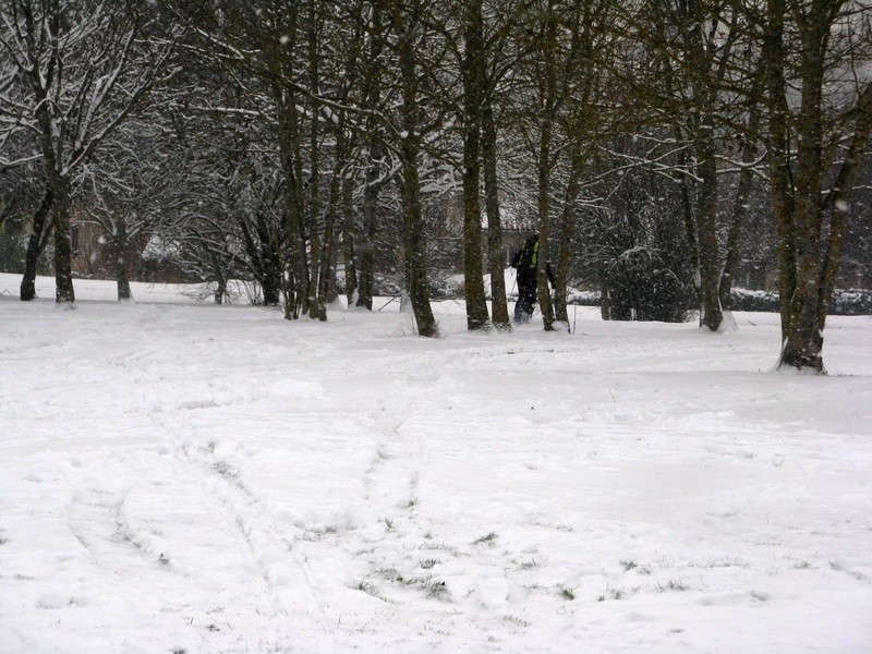Descente dans la "forêt"