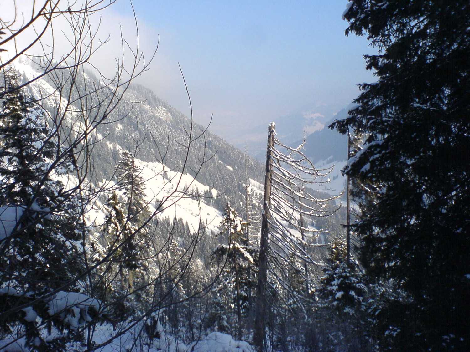 vue sur la vallée