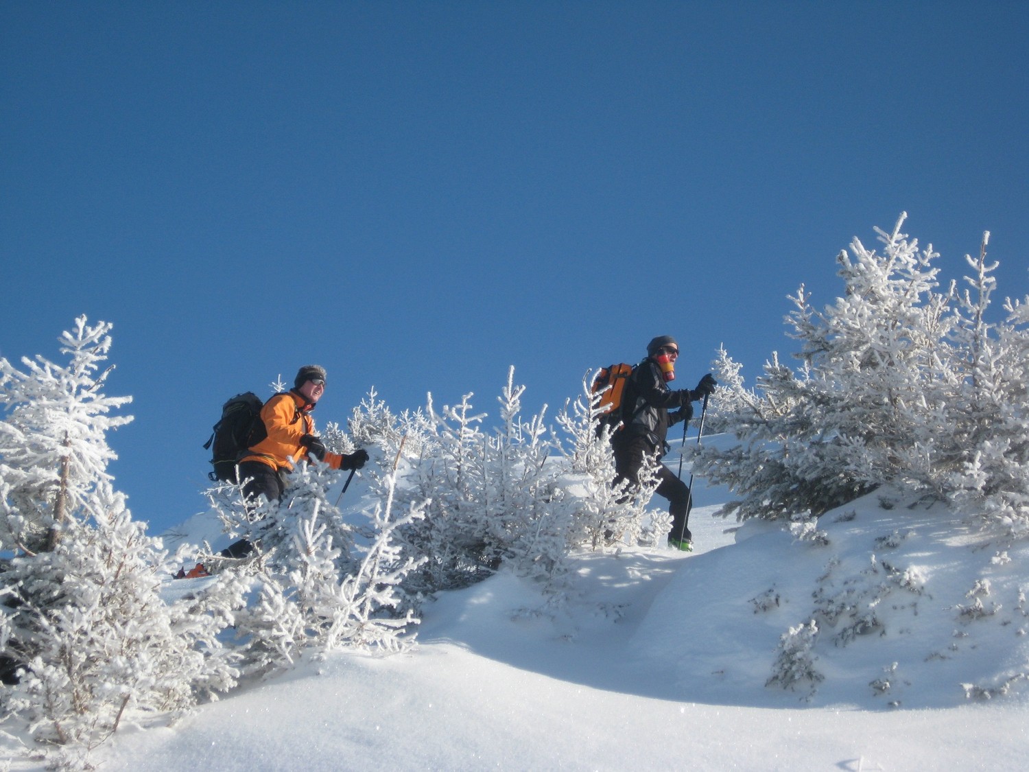Montagne de Pertuis, sur l'arête