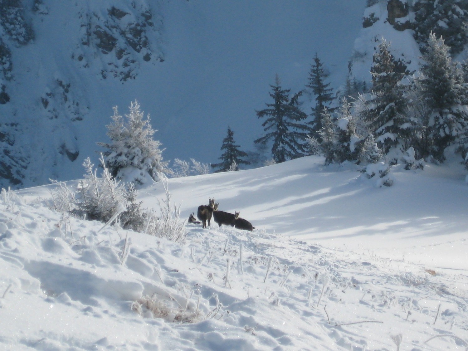 Rencontre ...