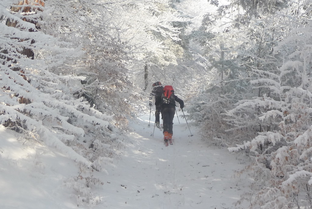 Montée ds peu de neige