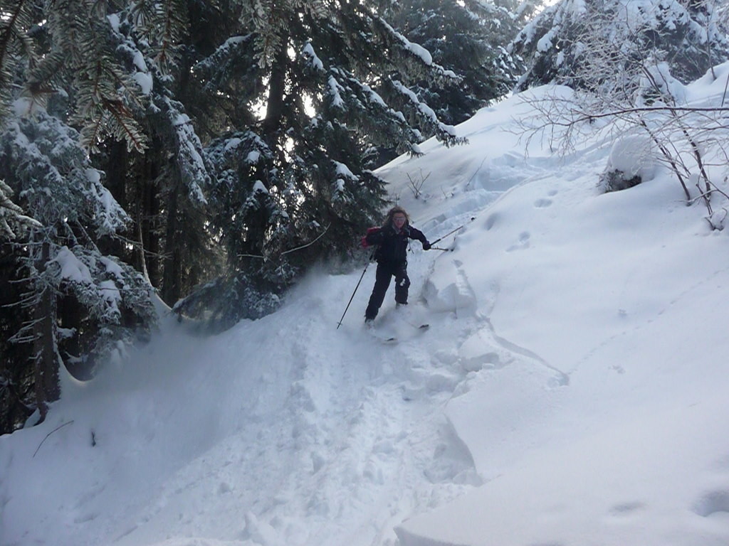 Un peu de ski forêt