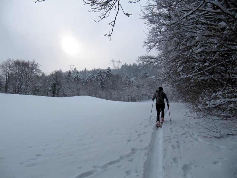 Entre la Tour sans Venin et St-Nizier