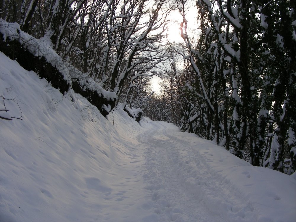 Montée à la Croix de la Vue