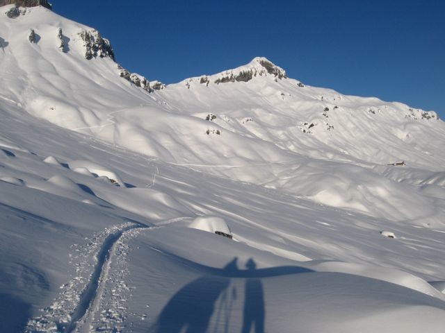 Lumière de fin d'après midi