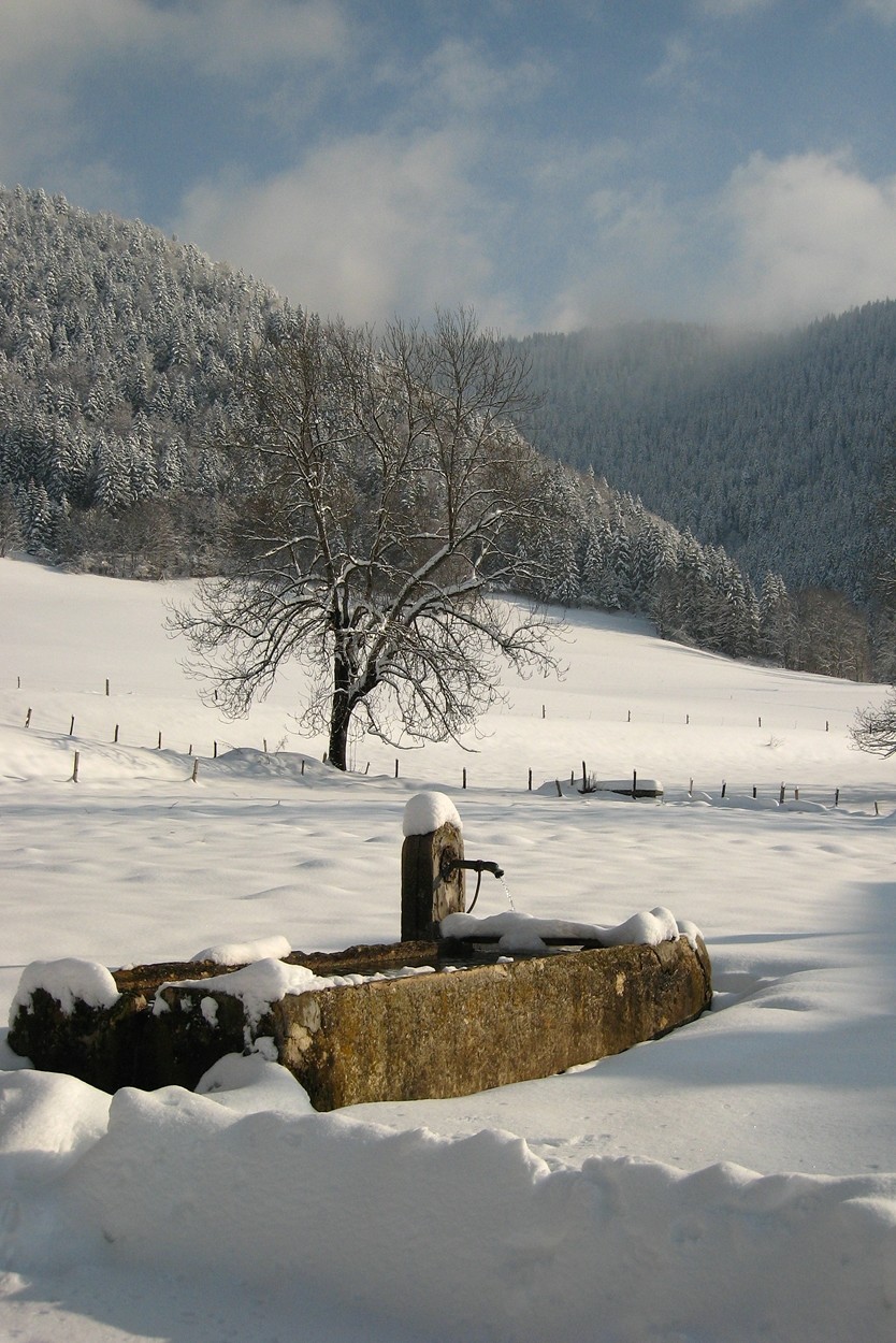 Vue sur la combe de desente sur Autrans