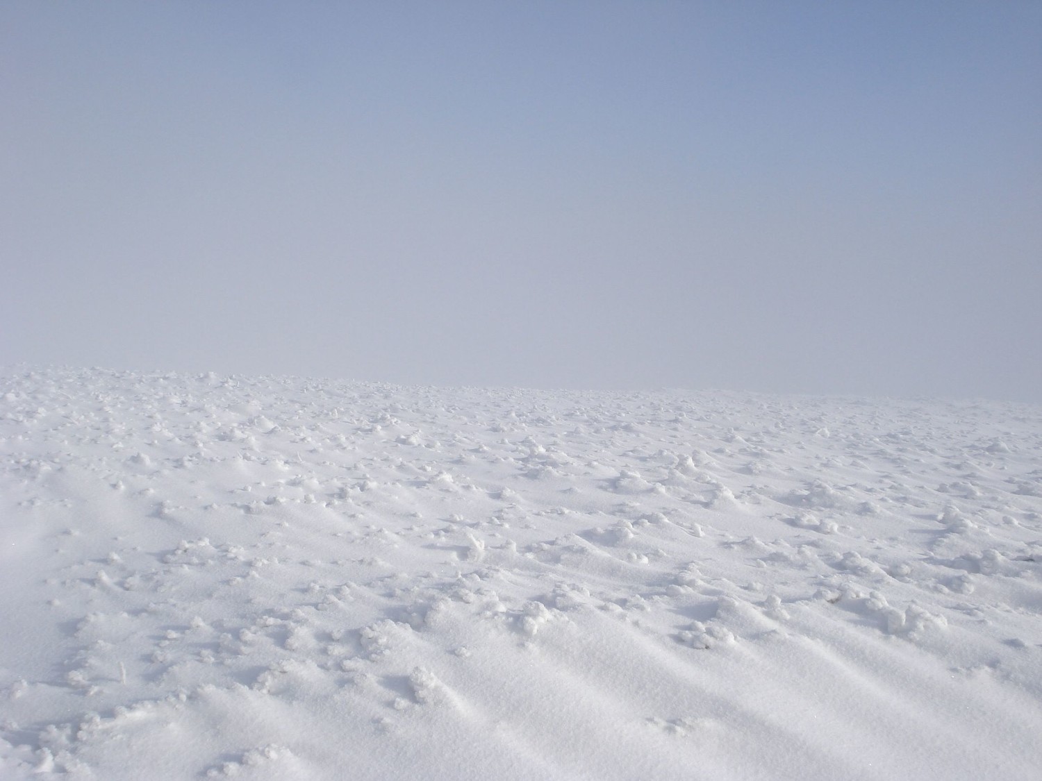 Désert de neige... au sommet du Grand Ballon (1424m)