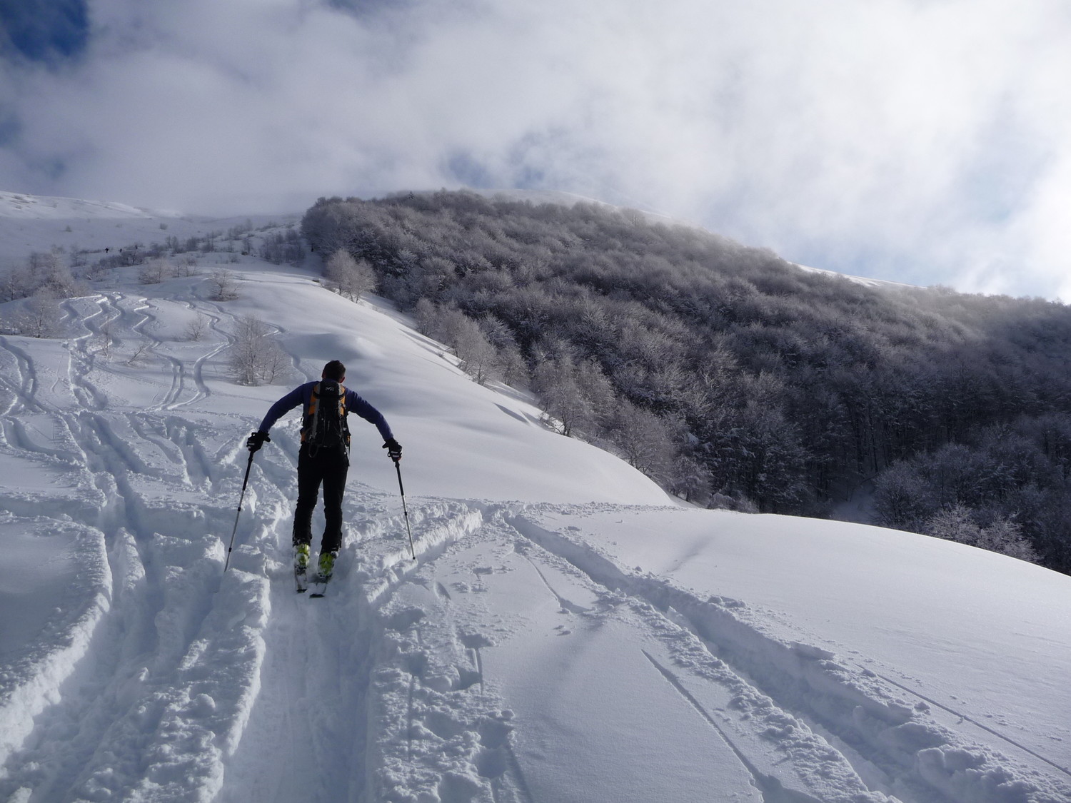 All'alpe Arasio, salendo dalla vecchia pista