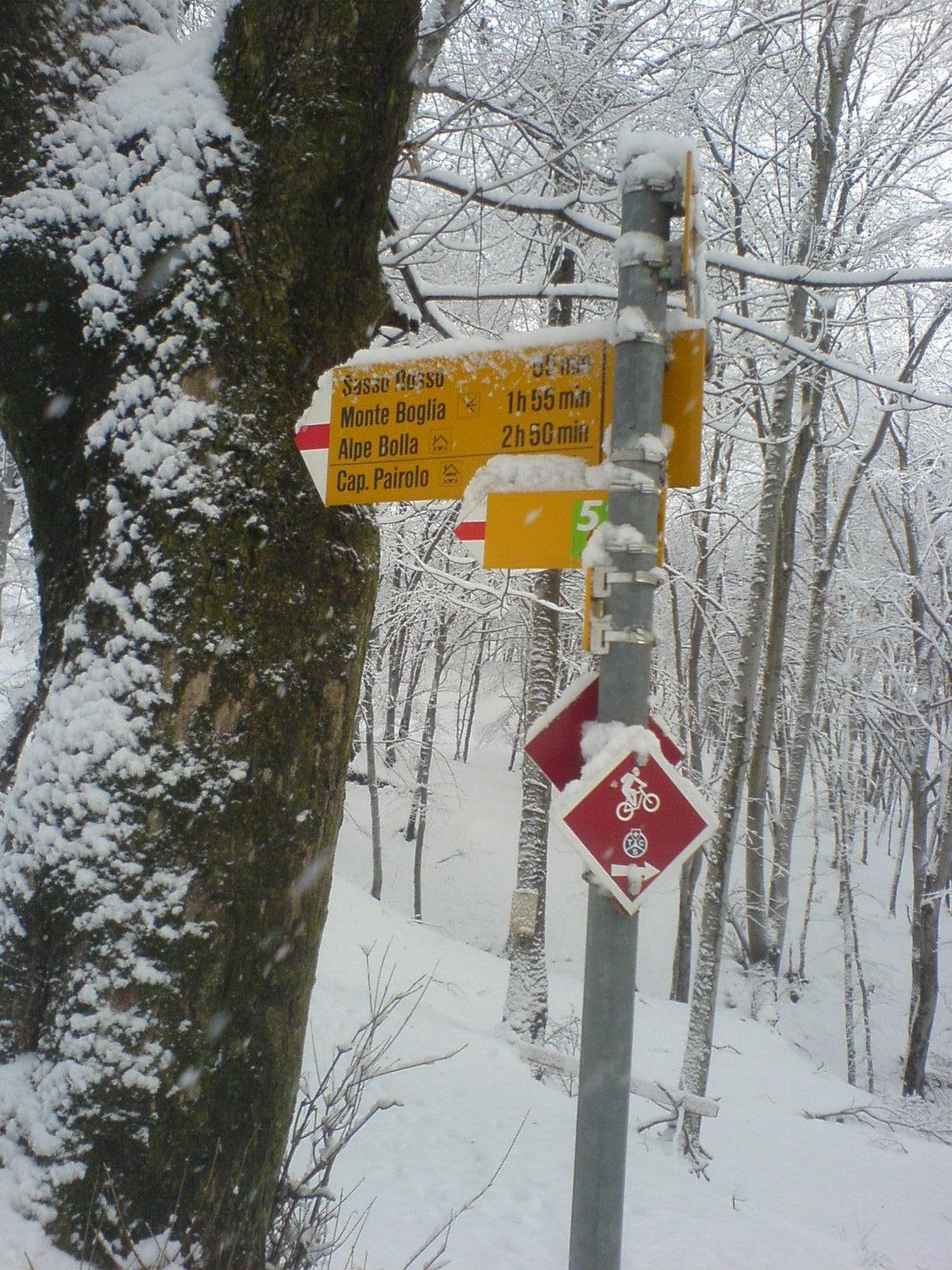 Monte Boglia
