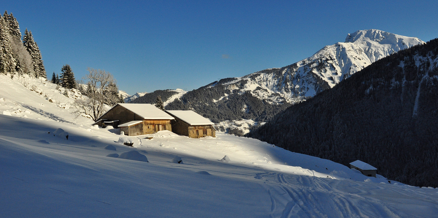 Chalets de Serranants