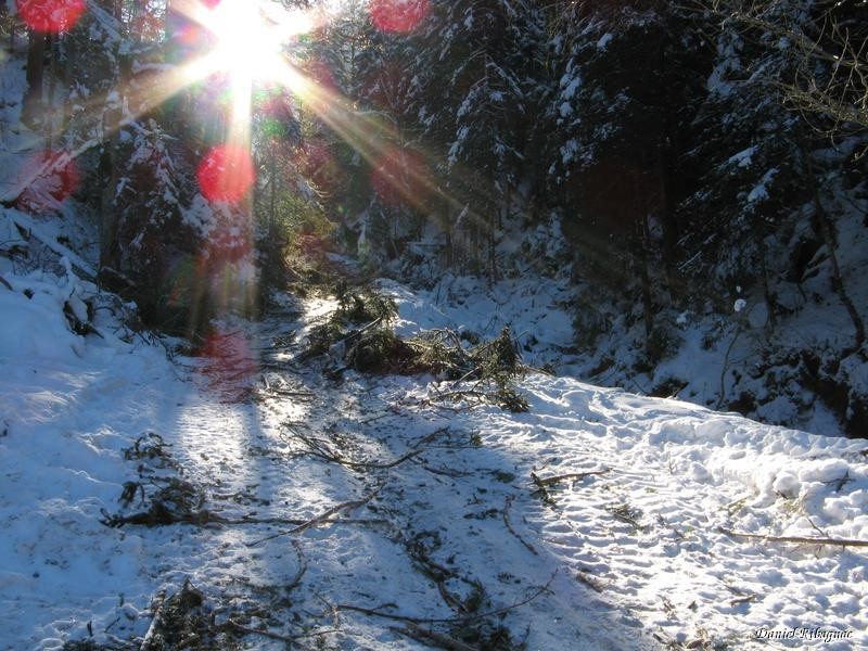Pour cause de travaux forestiers, il a fallu marcher depuis 1200m