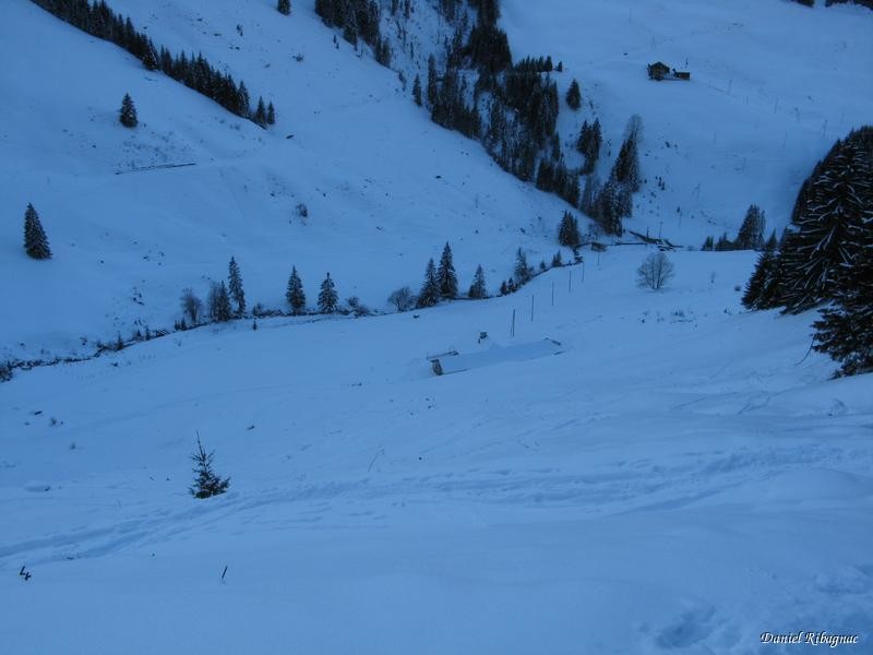 Descente dans les pâturages vers Les Maulatreys, poudre sans fond :-(