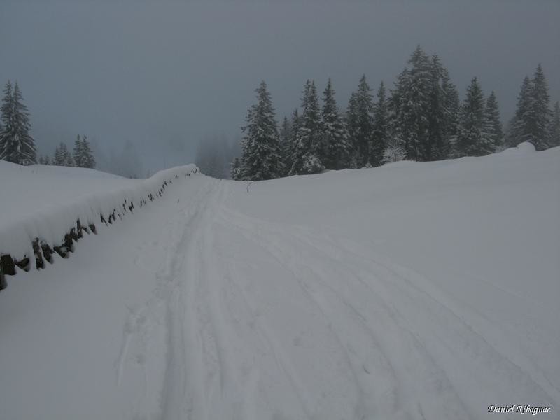 Vers le col de Vuarne et les murs typique du Jura
