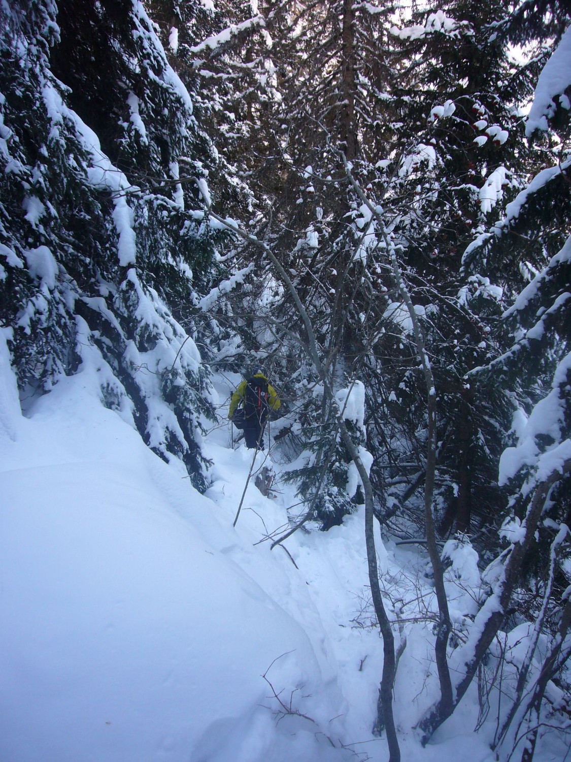 dans les bois : pas top ...