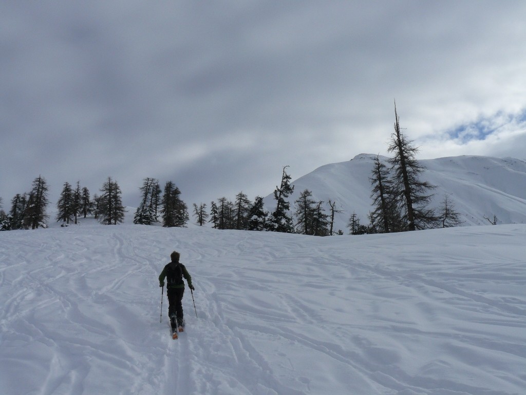 Vista della salita al piz dopo essere usciti del bosco